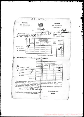 Fotogramma C 5