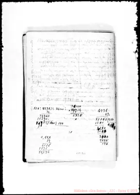 Fotogramma D 11