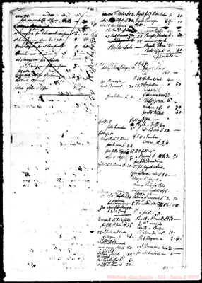 Fotogramma E 8