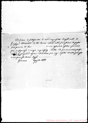 Fotogramma D 5