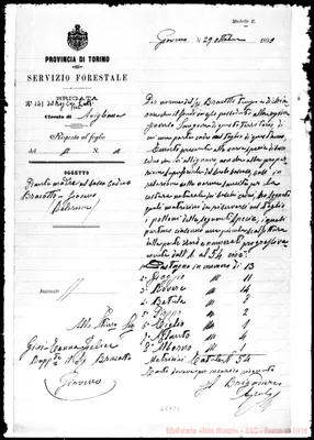 Fotogramma D 8