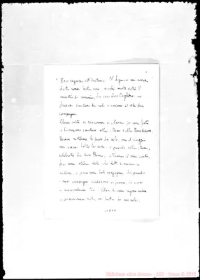 Fotogramma D 11