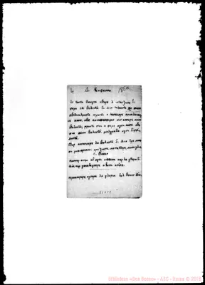 Fotogramma C 8