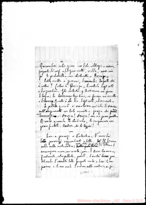Fotogramma D 5