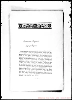 Fotogramma D 3