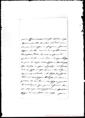 Fotogramma D 11