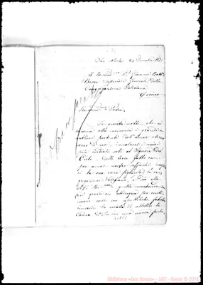 Fotogramma C 8
