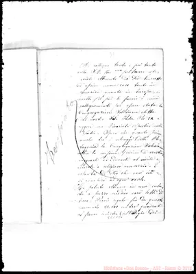 Fotogramma C 10
