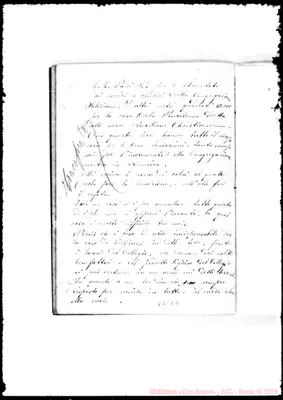 Fotogramma C 11