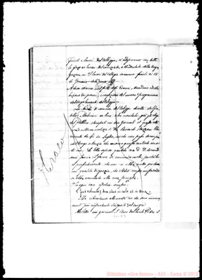 Fotogramma D 3