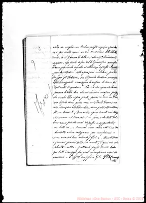 Fotogramma D 7