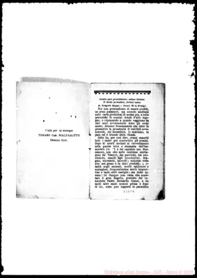Fotogramma C 6