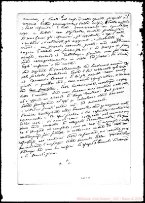 Fotogramma C 11