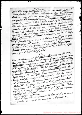 Fotogramma D 5