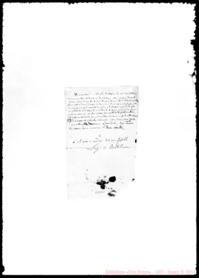Fotogramma D 11