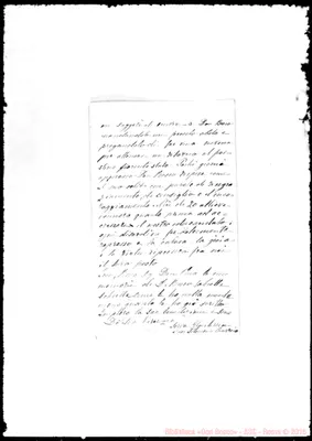 Fotogramma E 8