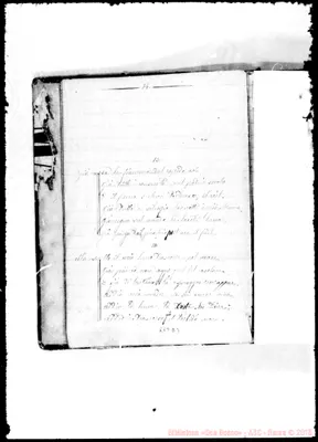 Fotogramma D 3