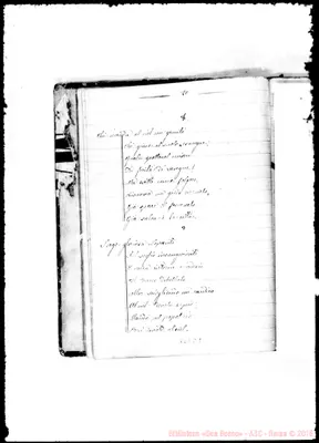 Fotogramma D 9
