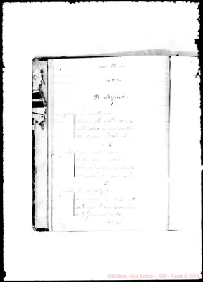 Fotogramma D 11