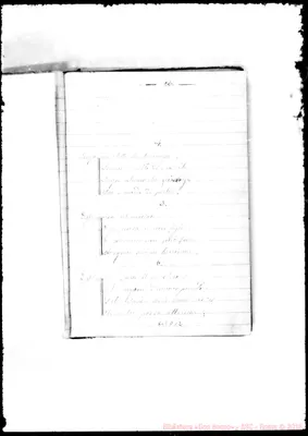 Fotogramma D 12