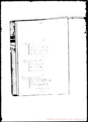 Fotogramma E 9