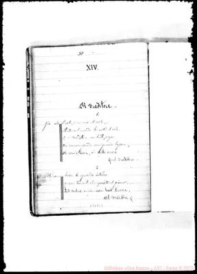 Fotogramma B 3