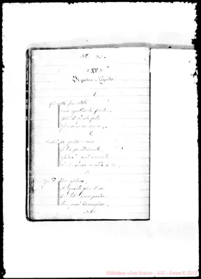 Fotogramma B 5