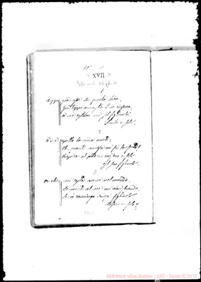 Fotogramma C 1