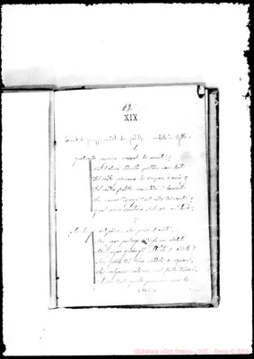Fotogramma C 10