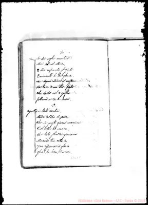 Fotogramma D 9