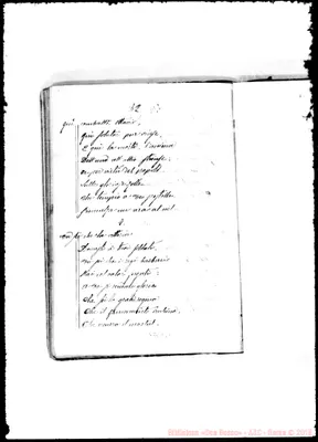 Fotogramma D 11
