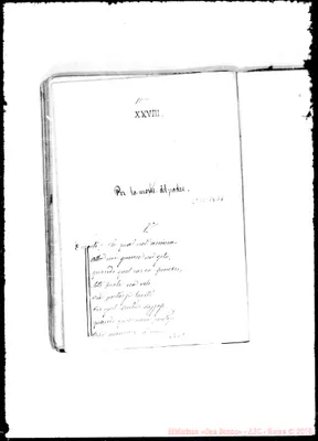 Fotogramma E 11