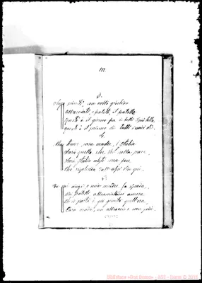 Fotogramma B 2