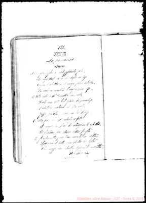 Fotogramma B 11