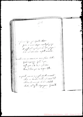 Fotogramma C 11