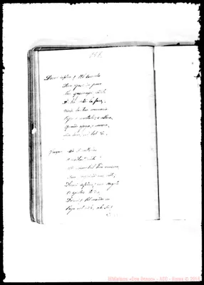 Fotogramma D 7