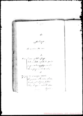 Fotogramma E 7