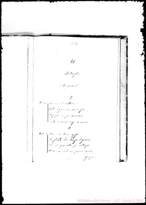 Fotogramma E 8