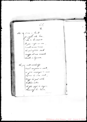 Fotogramma A 11