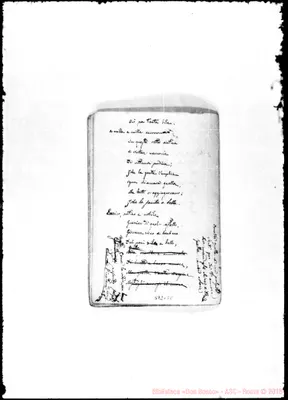 Fotogramma B 8