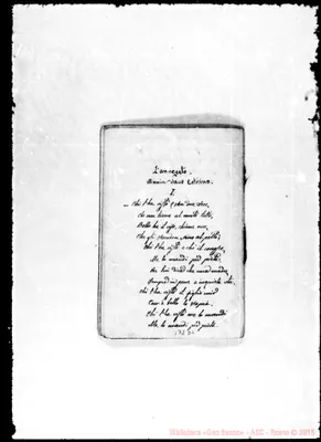 Fotogramma D 4