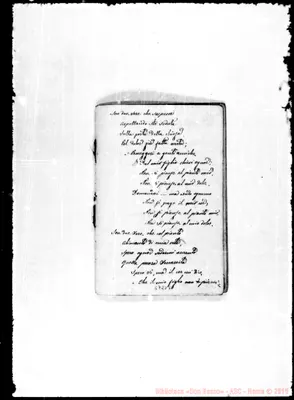 Fotogramma D 5