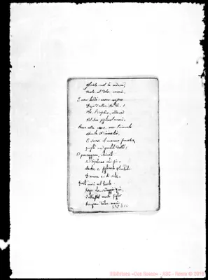 Fotogramma D 10