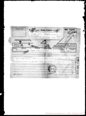 Fotogramma D 12