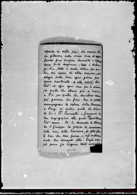 Fotogramma C 10