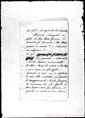 Fotogramma C 11