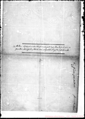 Fotogramma C 7