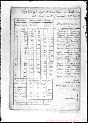 Fotogramma C 11