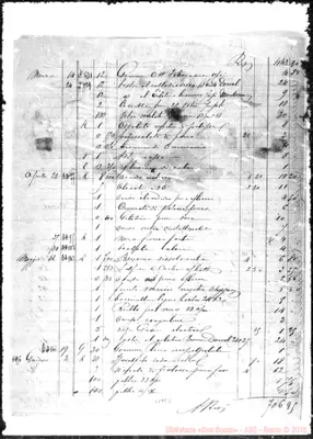 Fotogramma E 8