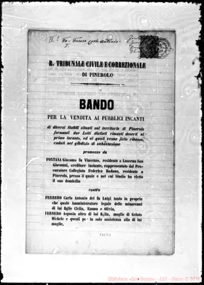 Fotogramma D 3